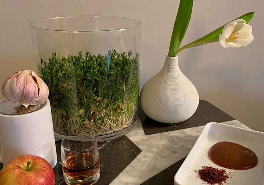 The Traditions That Shape Us: <br/> Celebrating The Persian New Year (Nowruz)