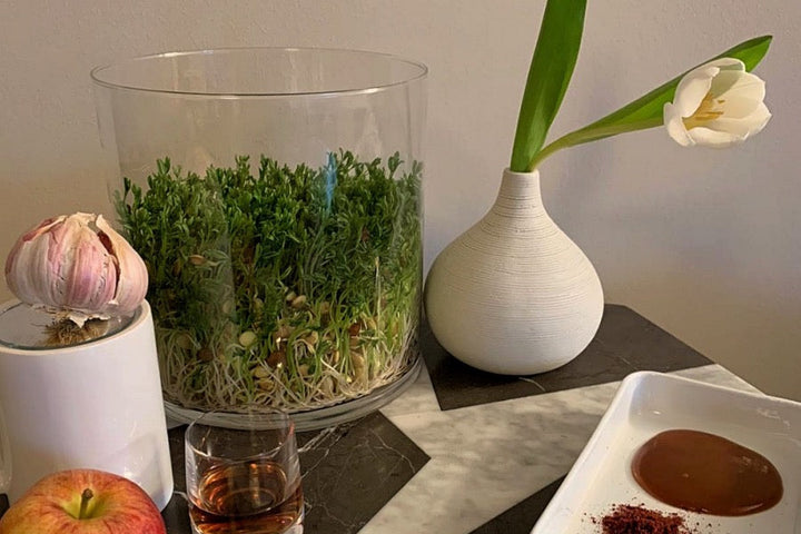 The Traditions That Shape Us: <br/> Celebrating The Persian New Year (Nowruz)