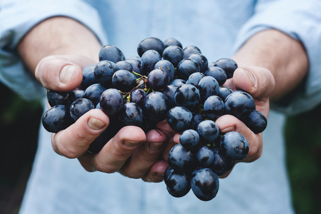 Skincare to Superfoods: 5 Innovative Uses For Wine Waste