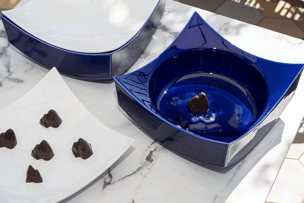 Luxury chocolate tasting and meditation experience